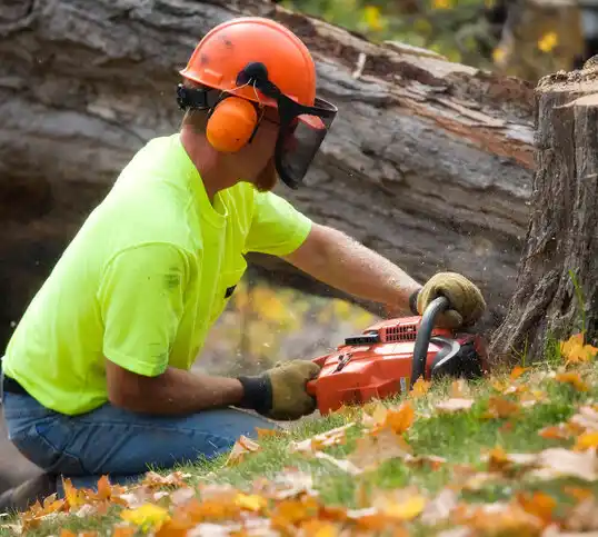 tree services Marne